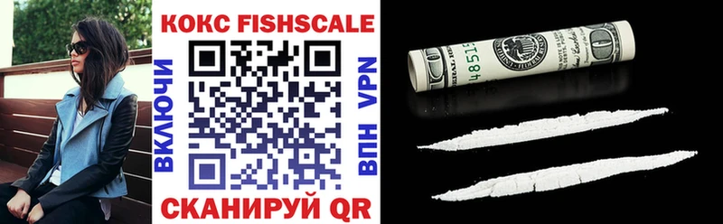 КОКАИН FishScale  купить наркотики цена  MEGA ONION  Лыткарино 