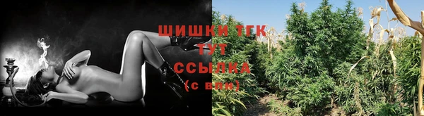 стаф Нягань