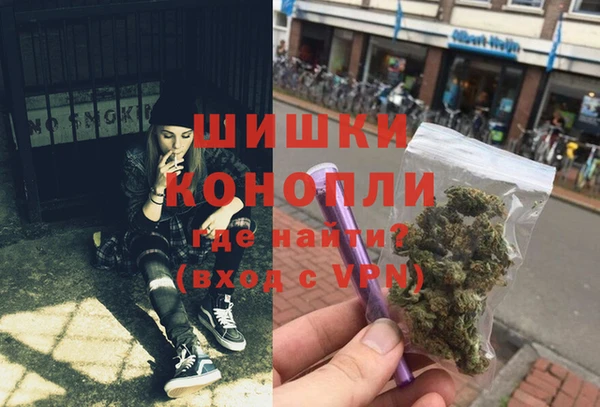 амф Бронницы