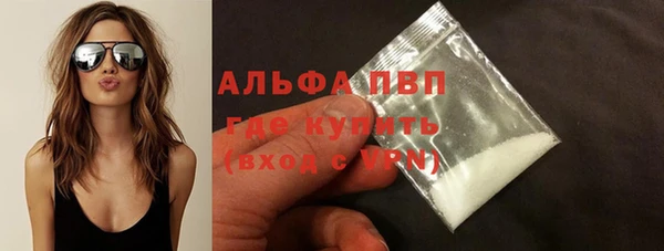 PSILOCYBIN Богданович