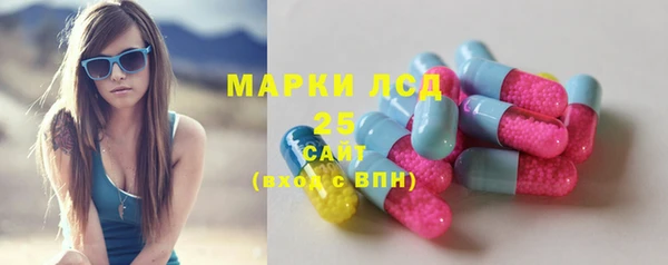 молекула духа Бородино