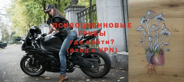 амф Бронницы