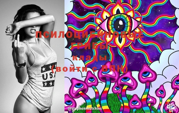 PSILOCYBIN Богданович