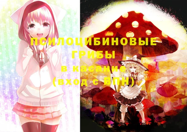 синтетический гашиш Богородицк
